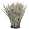 Reptile One Spinifex Grass Grey 18cm