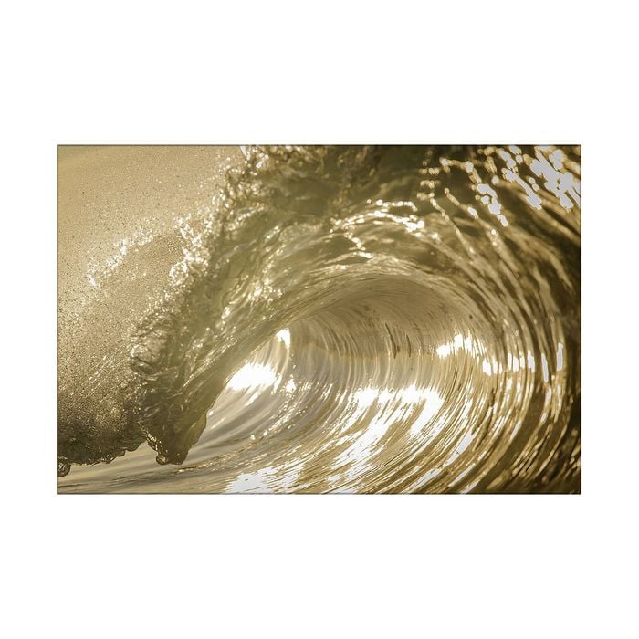 Artey | Auricomus - Stretched Canvas - Stretched Canvas - 80 x 120 cm