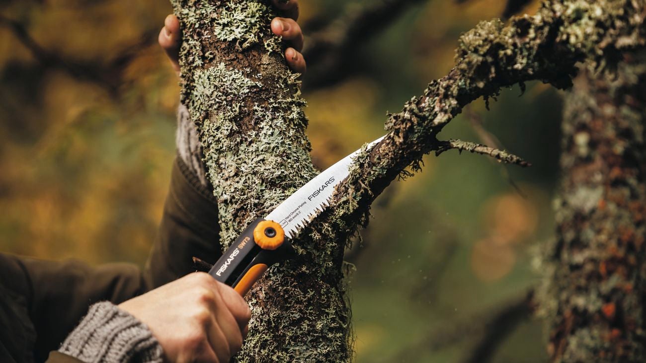 Using a pruning saw to cut off a branch