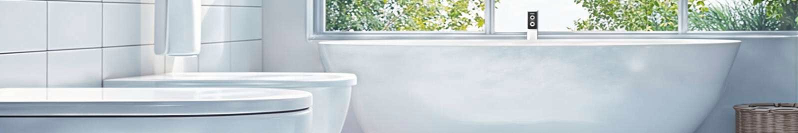 White king header image with Bathtub in shot