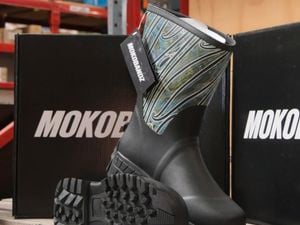 Media Release - Reference Picture - MokoBandz_Hero Image