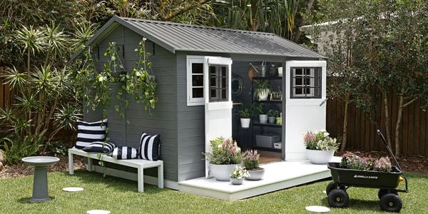 Grey and white shed in a backyard with lawn