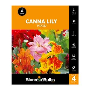 Bloomin' Bulbs Canna Lily Mixed - 4 Pack