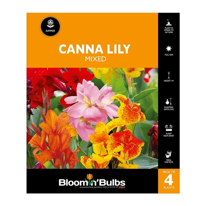 Bloomin' Bulbs Canna Lily Mixed - 4 Pack