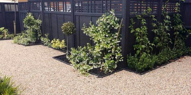 Garden path with natural paving, shrubs with modern fence panels 