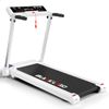BLACK LORD Treadmill Foldable ZT-3