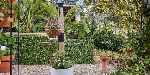A D.I.Y. nature post photographed in a spring garden
