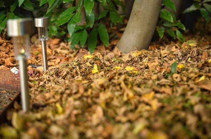 Two walkway lights installed in the garden and Autumn leaves are in the surrounding.