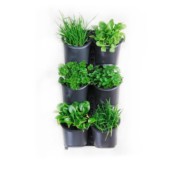 Holman Greenwall Slim Wall Mounted Kit