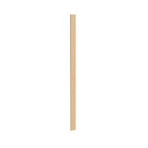 Kaboodle Oak Latte Pantry Filler Panel
