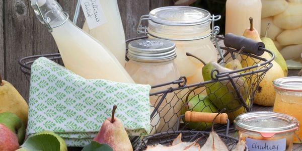 Display of products made after learning how to preserve fruit including juice, chutney and dried pear