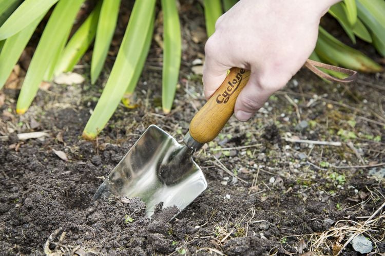Turning over some soil with a hand trowel