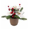 Un-Real 25cm White Artificial Christmas Poinsettia Plant in Terracotta Pot