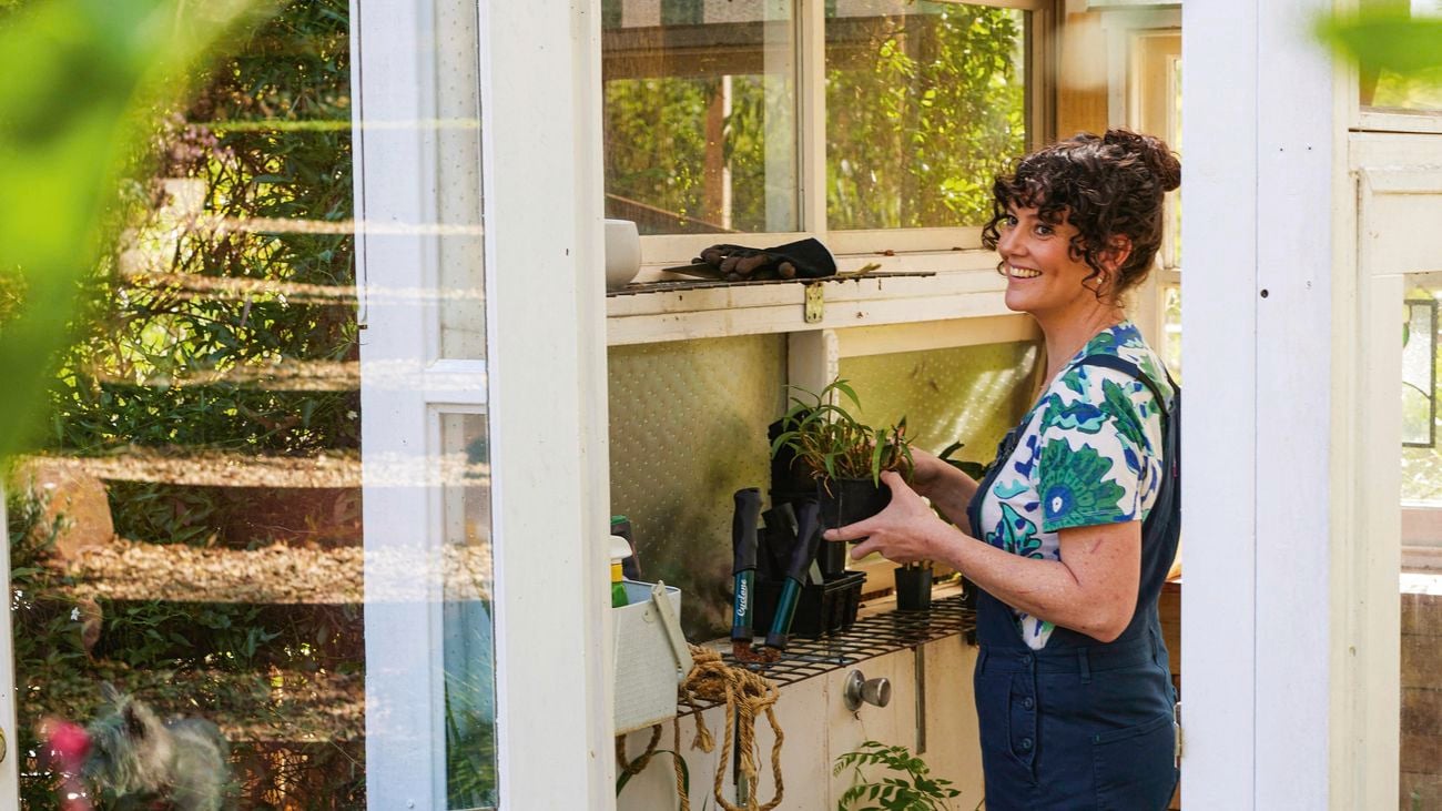 Person standing in a greenhouse in garden