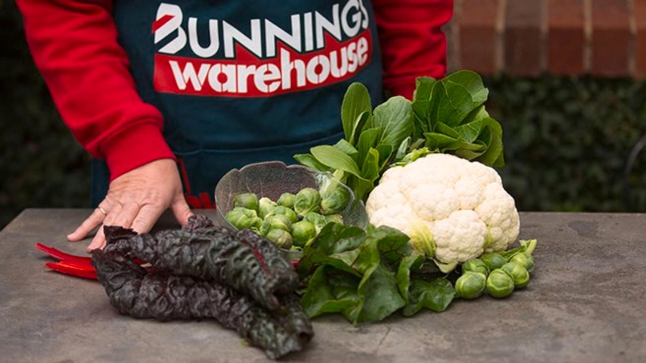 Cauliflower, asian greens, brussels sprouts and rainbow chard