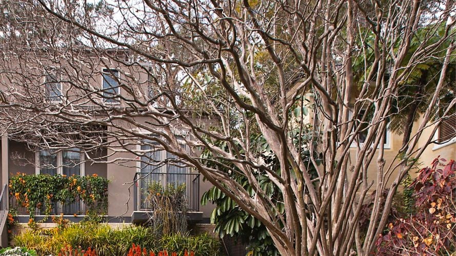 DIY - Header - Winter garden ideas 