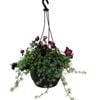 270mm Blush Mix Hanging Basket - Festival Combo Range