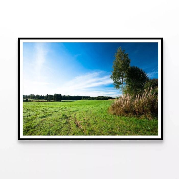 Grassland & Trees at Sunrise  Print 100% Australian Made 90x60cm  (Poster)