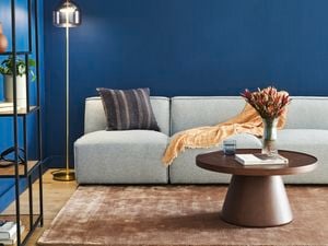 Living room with vibrant blue walls, a wooden coffee table and grey couch behind it, next to a gold floor lamp.