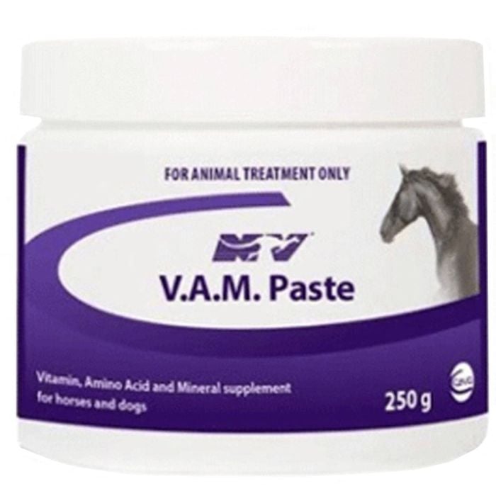 Ceva V.a.m. Vitamin Mineral Supplement Horse Dog Paste 250g