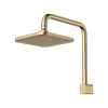 Caroma Brushed Brass Luna Fixed Overhead Shower WELS 4 Star 7.5L/min