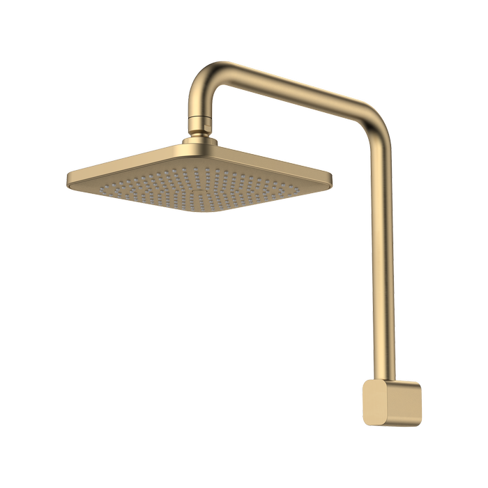 Caroma Brushed Brass Luna Fixed Overhead Shower WELS 4 Star 7.5L/min