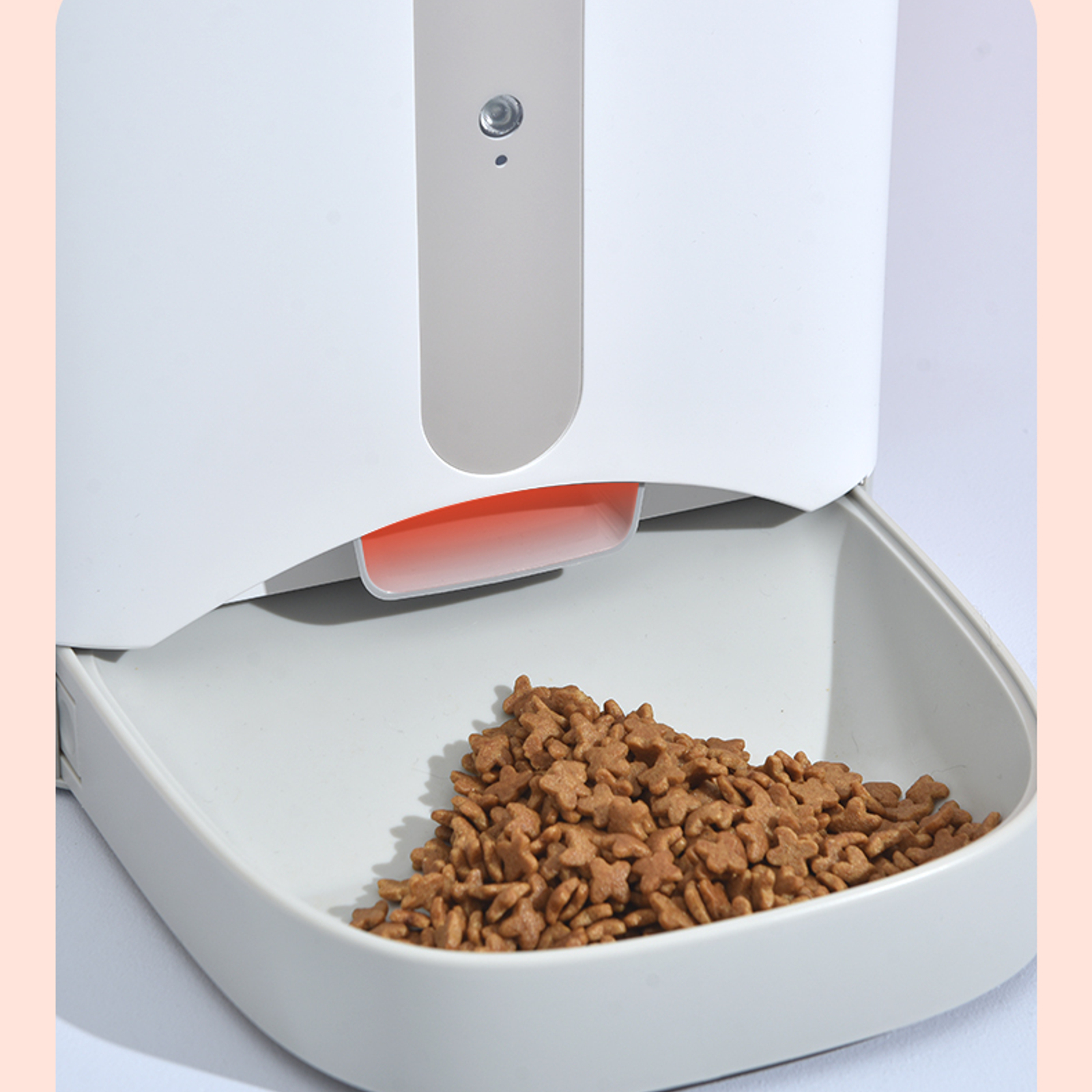 Automatic dog feeder bunnings best sale