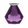 Tempa Zhara Set of 2 Gin Glasses Amethyst