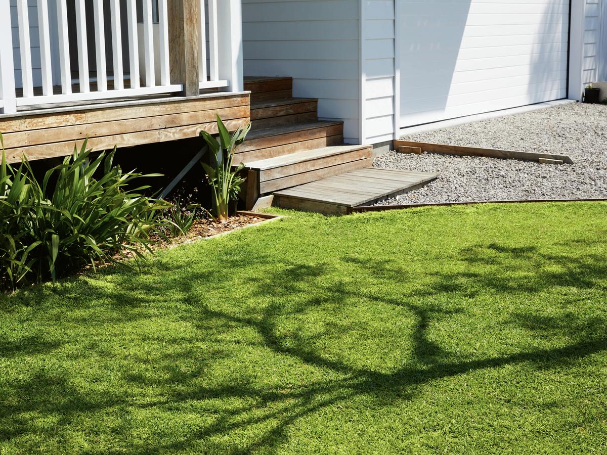How To Beat The Heat With These Summer Lawn Care Tips - Bunnings Australia
