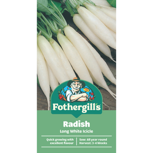 Fothergill's Long White Icicle Radish Vegetable Seeds