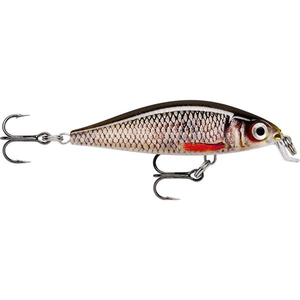 Rapala XLight Finesse Minnow 5cm Hard Body Fishing Lure Live Roach