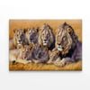 Lions Resting Together  Print 100% Australian Made 75 x 50cm  (Stretched)