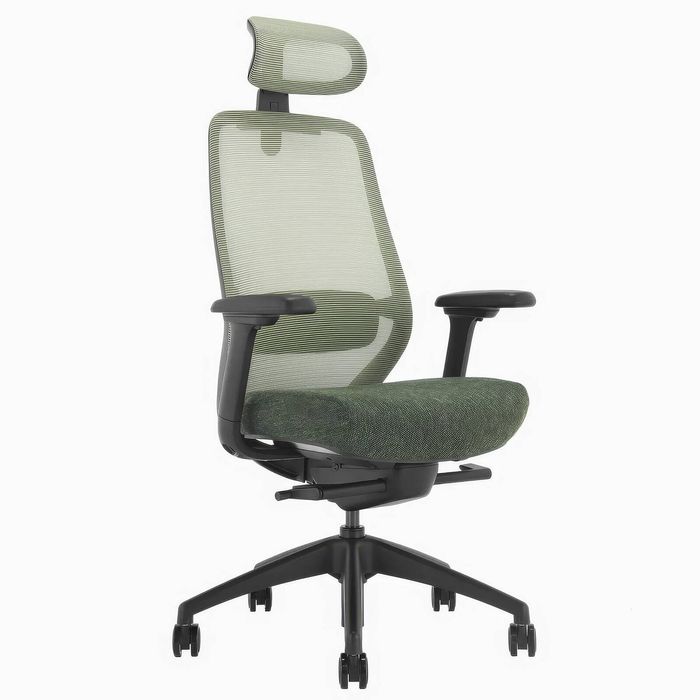 Desky CoilFlex Ergonomic Office Chair with Headrest