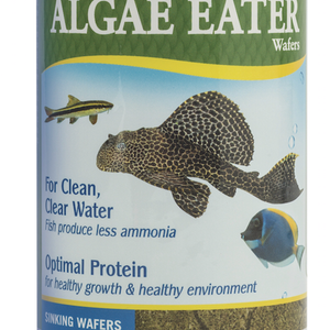 API Algae Eater Wafers 181gm (840C)