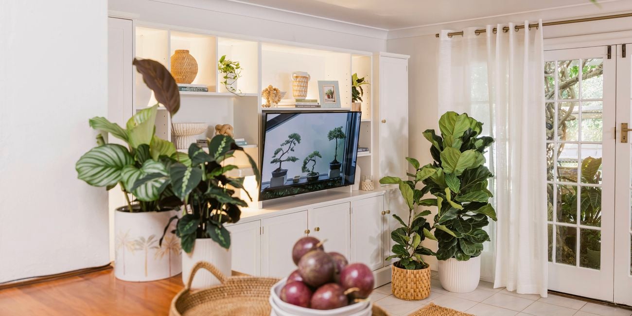 Bright living space with indoor plants, sheer white curtains, and glass doors opening to a garden.