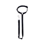 Flamingo Black Car Pet Traction Rope