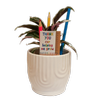 90mm Mini Moments - Teachers Gift in Ceramic Pot