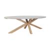 Tamarama Oval Indoor Outdoor Concrete Look Dining Table