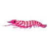 Nomad Design Live Ops Sumo Shrimp UnRigged 5" Soft Plastic Fishing Lure Hyper Pink