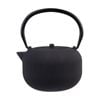 Teaology Cast Iron Teapot W/ Stainless Steel Infuser Serenity Black 700ml