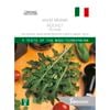 Johnsons Seed Rocket Runway World Kitchen