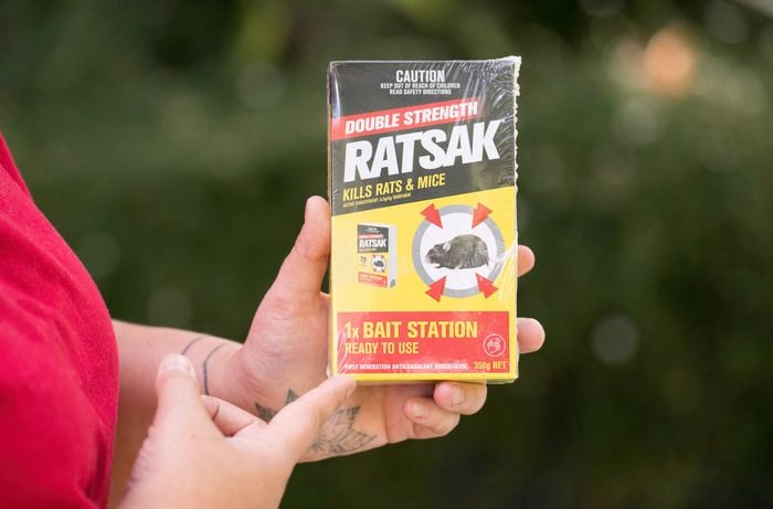 Use rodenticides with care if traps don’t work