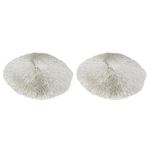 2PK Belle Polyresin Sofi Sea Urchin Sculpture 19x17cm - White