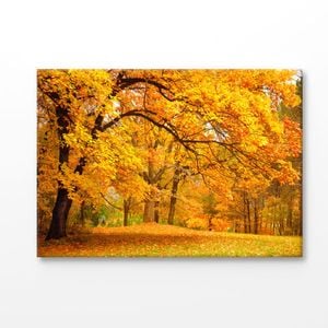 Autumn Leaves In The Forest Print 100% Australian Made 90x60cm (Stretched Canvas)