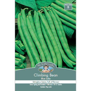 Mr Fothergill's Blue Lake Climbing Bean Vegetable Seeds
