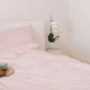 Bulbul Home 375tc Fitted Sheet & Pillowcase Bedding Set Pink Salt King Single