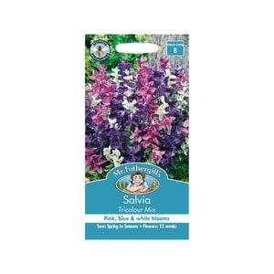 Mr Fothergill's Salvia Tricolour Mix