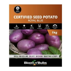 Bloomin' Bulbs 1kg Certified Seed Potato Royal Blue