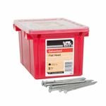 NZ Nails 75 x 3.15mm 5kg Galvanised Flat Head Nail