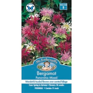 Mr Fothergill's Bergamot Panorama Seeds